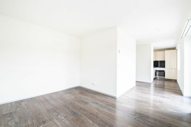 Perfect single apartment in top location! (3)