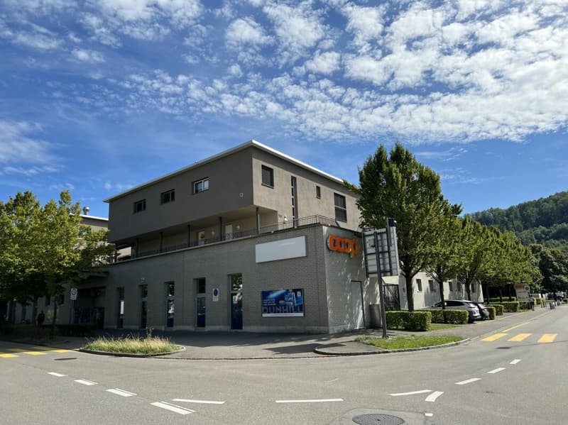 Grosszügige 4.5 Zimmer-Wohnung im Herzen von Bad Zurzach (6)