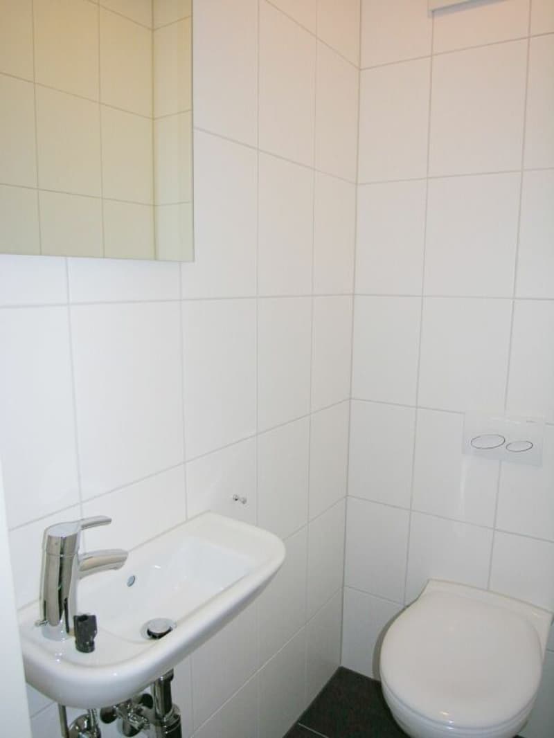Spacious 4-room apartment in central location (8)
