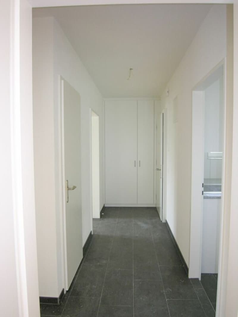 Spacious 4-room apartment in central location (6)