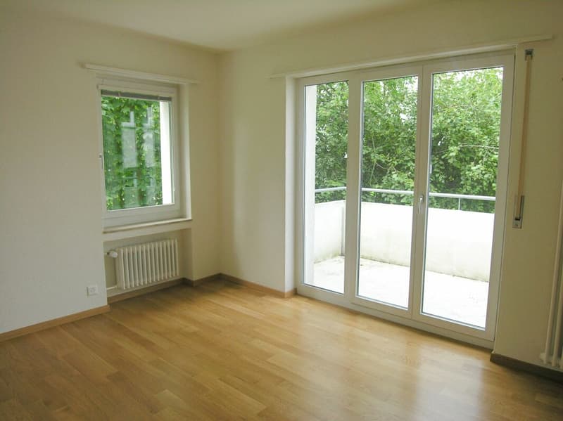 Spacious 4-room apartment in central location (4)