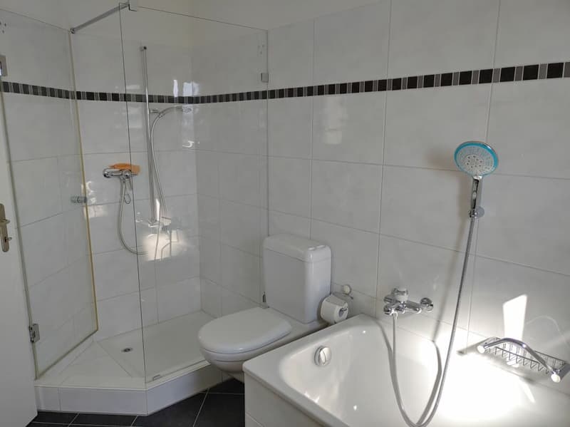 4.5-Zimmer-Maisonette-Wohnung an ruhiger & zentraler Lage (6)