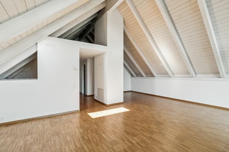 Spacious apartment in a park-like environment (4)