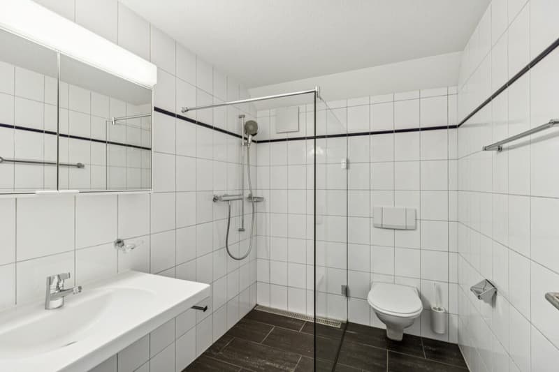Spacious apartment in a park-like environment (8)