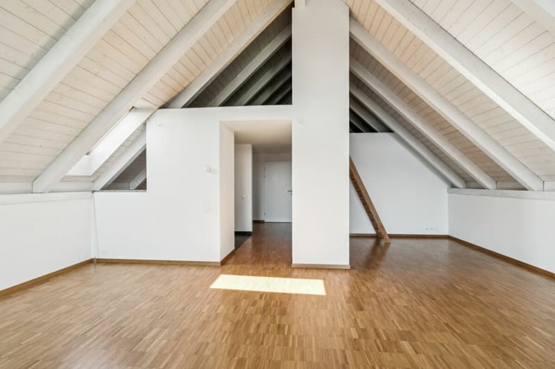 Spacious apartment in a park-like environment (6)