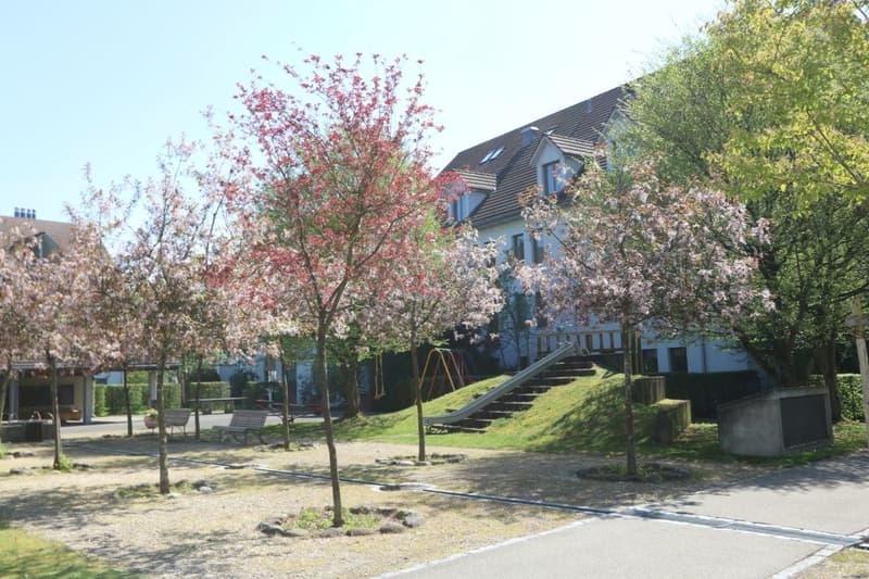 Spacious apartment in a park-like environment (11)