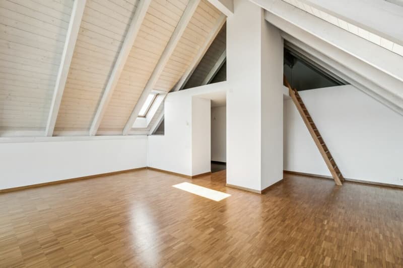 Spacious apartment in a park-like environment (5)
