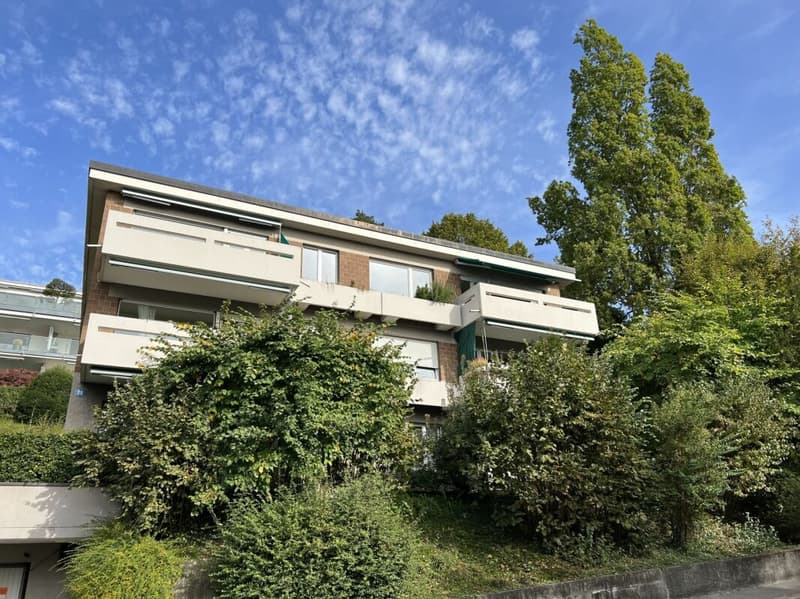 Appartement singleton parfait - limité jusqu'au 31.01.2027 (5)