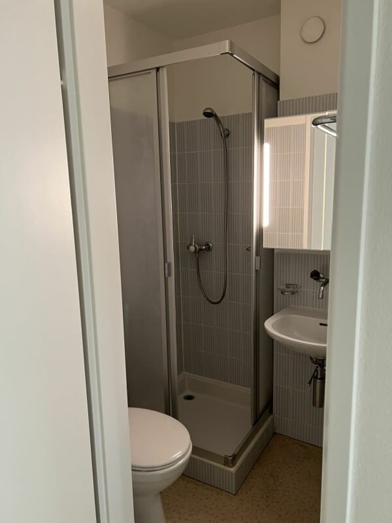 Appartement singleton parfait - limité jusqu'au 31.01.2027 (4)