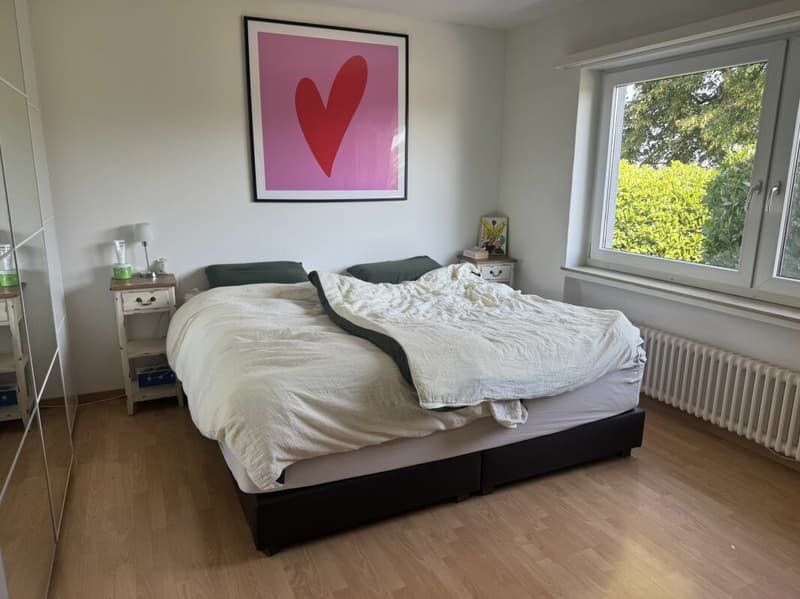 Grosszügige 4.5-Zimmer-Wohnung mit direktem Zugang zum See (7)