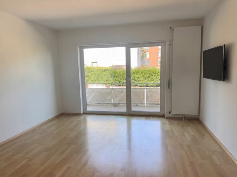 Grosszügige 4.5-Zimmer-Wohnung mit direktem Zugang zum See (11)