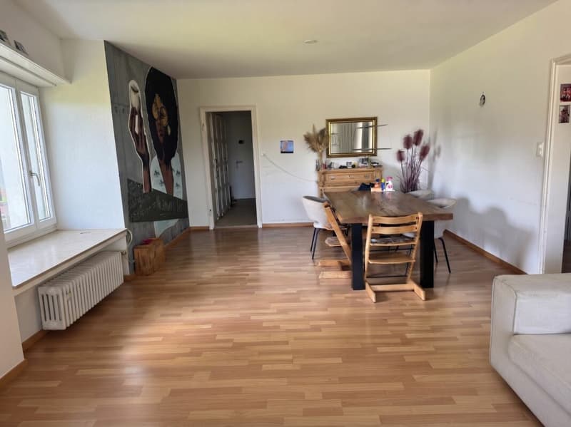 Grosszügige 4.5-Zimmer-Wohnung mit direktem Zugang zum See (3)
