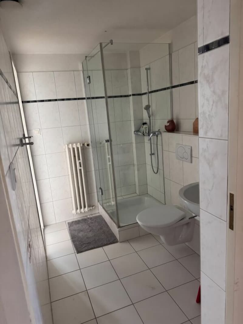 Grosszügige 4.5-Zimmer-Wohnung mit direktem Zugang zum See (8)