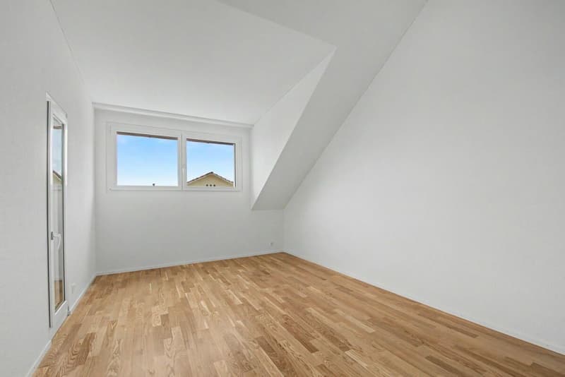Letzte Attika-Wohnung zu vermieten! (5)