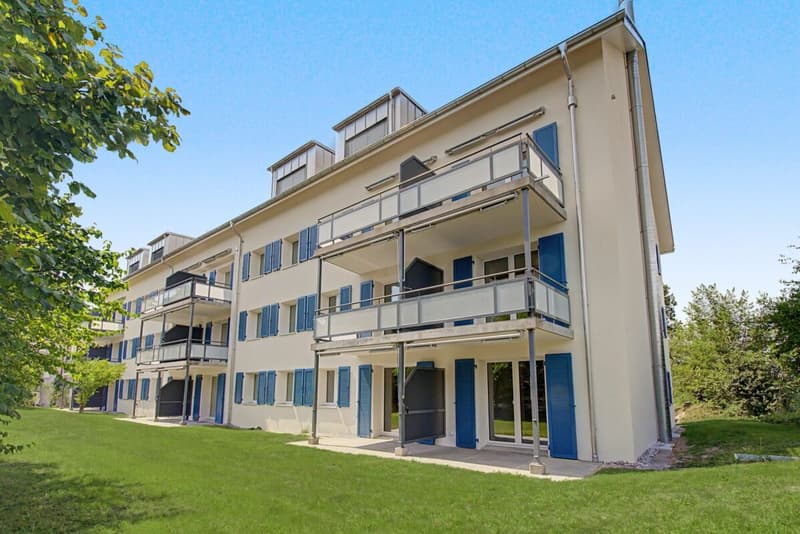 Letzte Attika-Wohnung zu vermieten! (9)