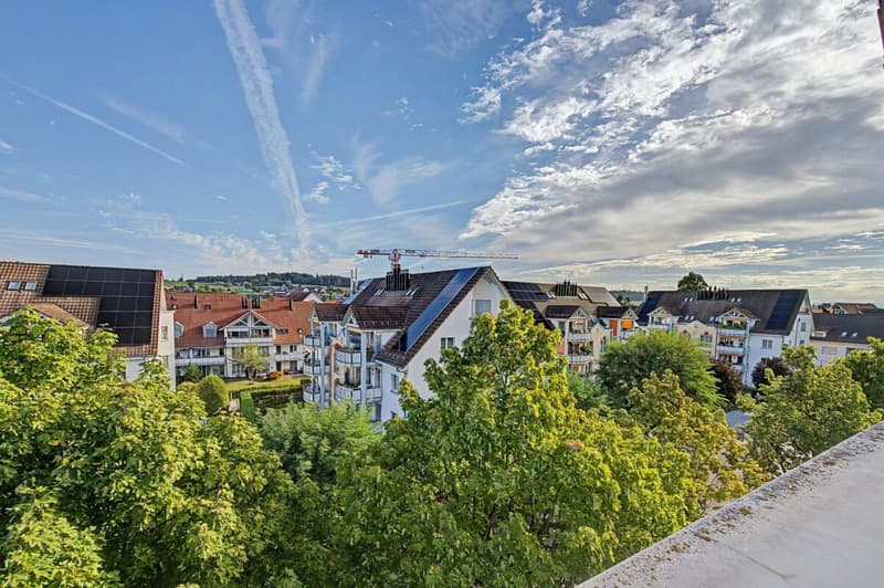 Gemütliche 2.5-Zimmer-Wohnung in grüner Umgebung (11)