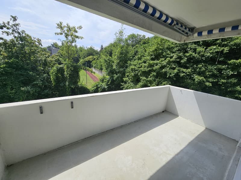 Appartement lumineux près de la limite de la ville (1)
