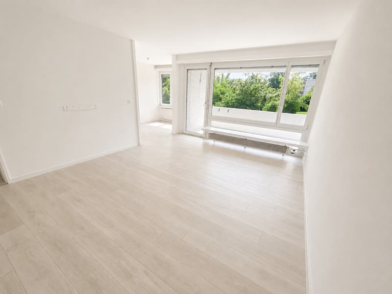Appartement lumineux près de la limite de la ville (2)