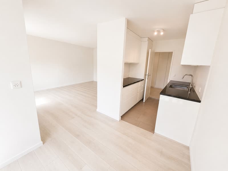 Appartement lumineux près de la limite de la ville (4)