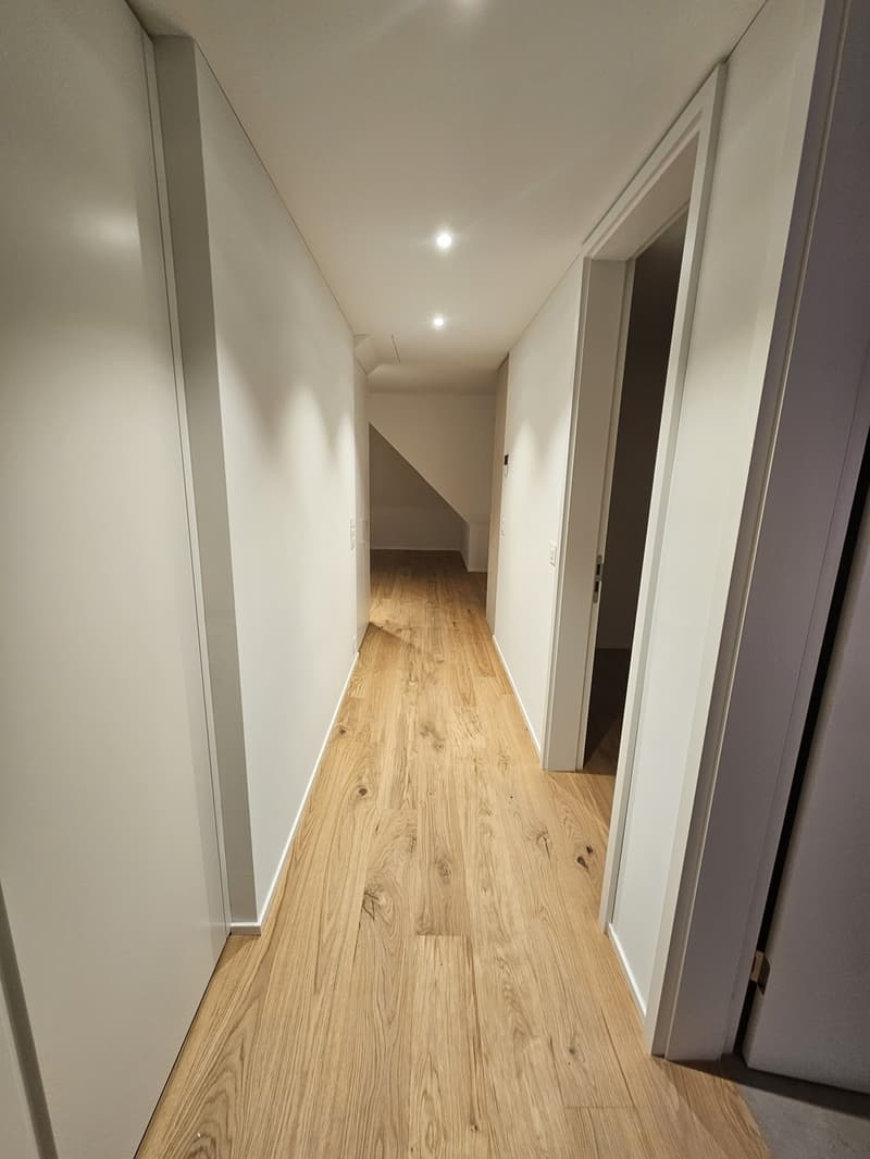 Erstbezug - Wohnen über den Dächern von Höngg zentral mit eigener Dachterrasse und Weitblick (6)