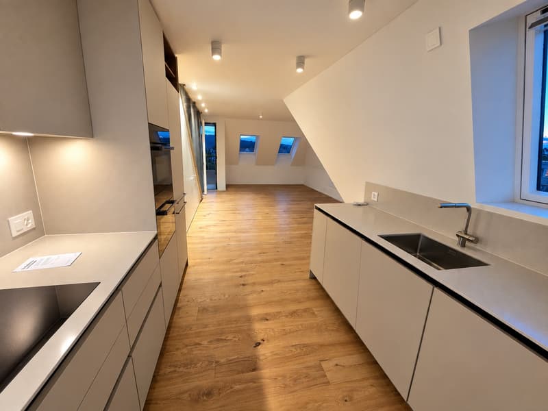 Erstbezug - Wohnen über den Dächern von Höngg zentral mit eigener Dachterrasse und Weitblick (3)