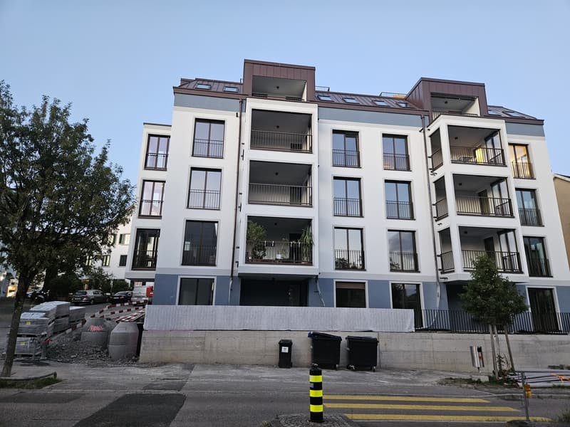 Erstbezug - Wohnen über den Dächern von Höngg zentral mit eigener Dachterrasse und Weitblick (10)