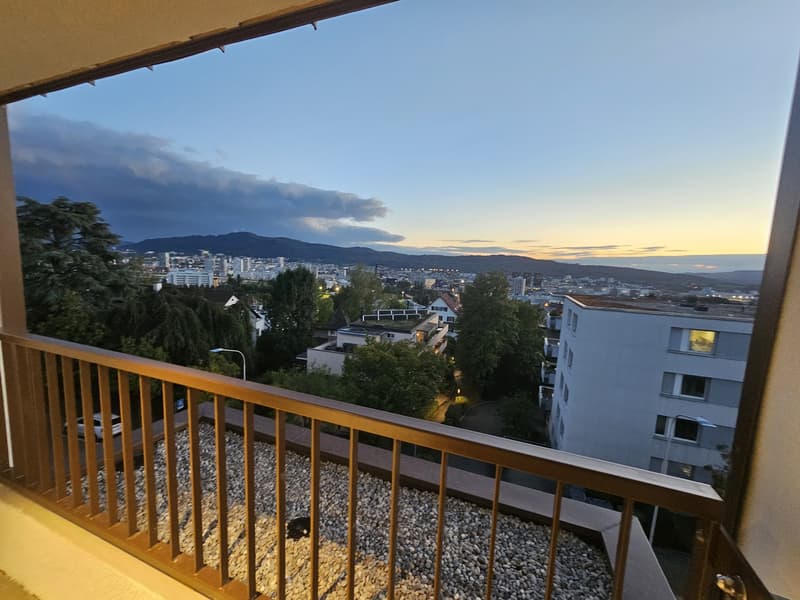 Erstbezug - Wohnen über den Dächern von Höngg zentral mit eigener Dachterrasse und Weitblick (8)