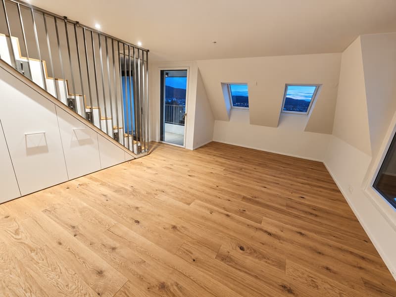 Erstbezug - Wohnen über den Dächern von Höngg zentral mit eigener Dachterrasse und Weitblick (2)