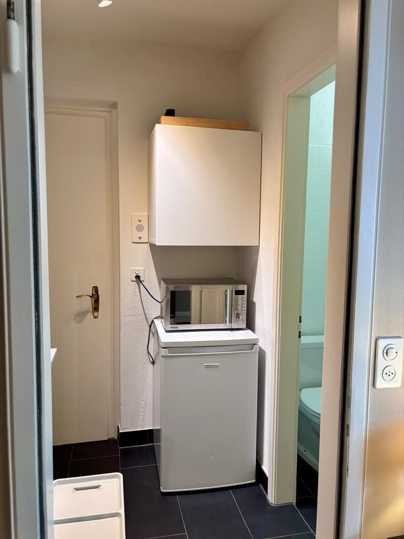 Möblierte 1-Zimmer-Wohnung am Zürichberg (8)