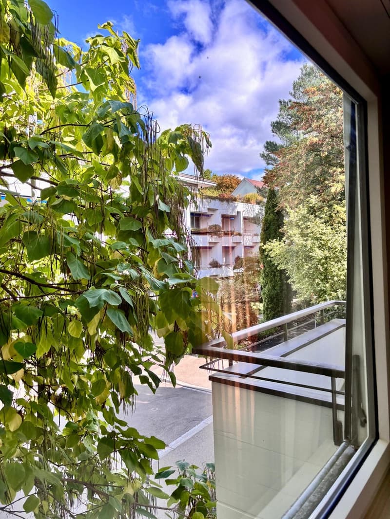 Möblierte 1-Zimmer-Wohnung am Zürichberg (11)