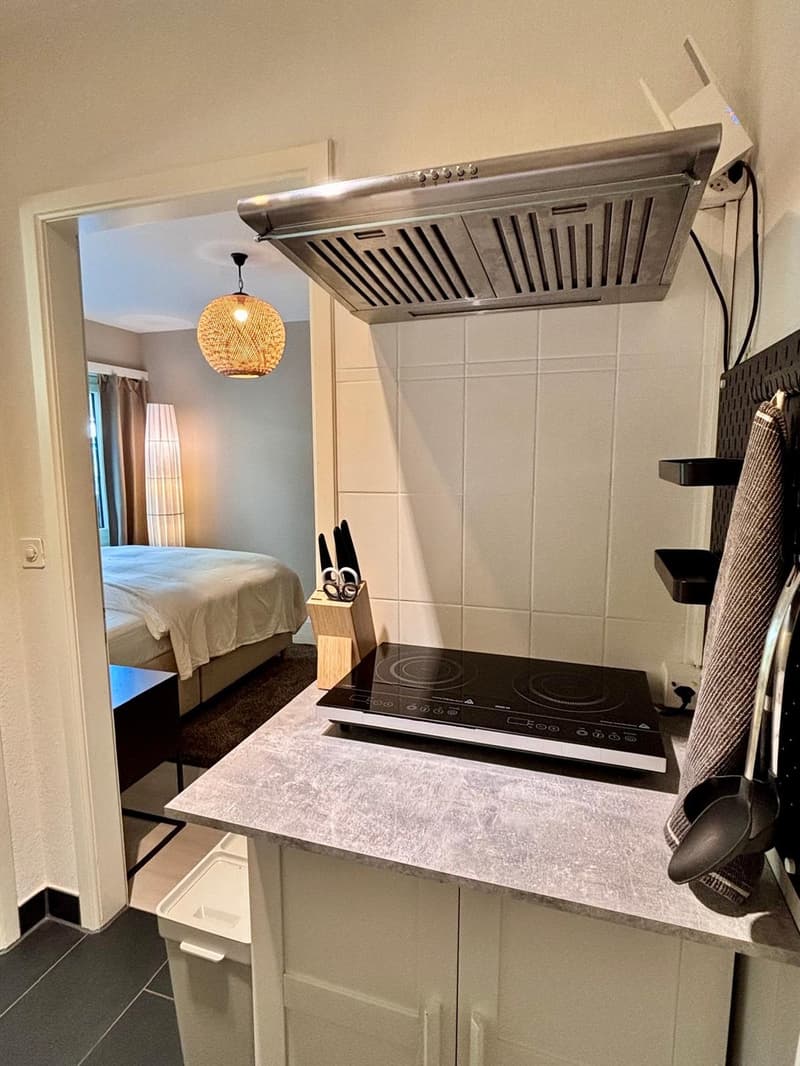 Möblierte 1-Zimmer-Wohnung am Zürichberg (5)