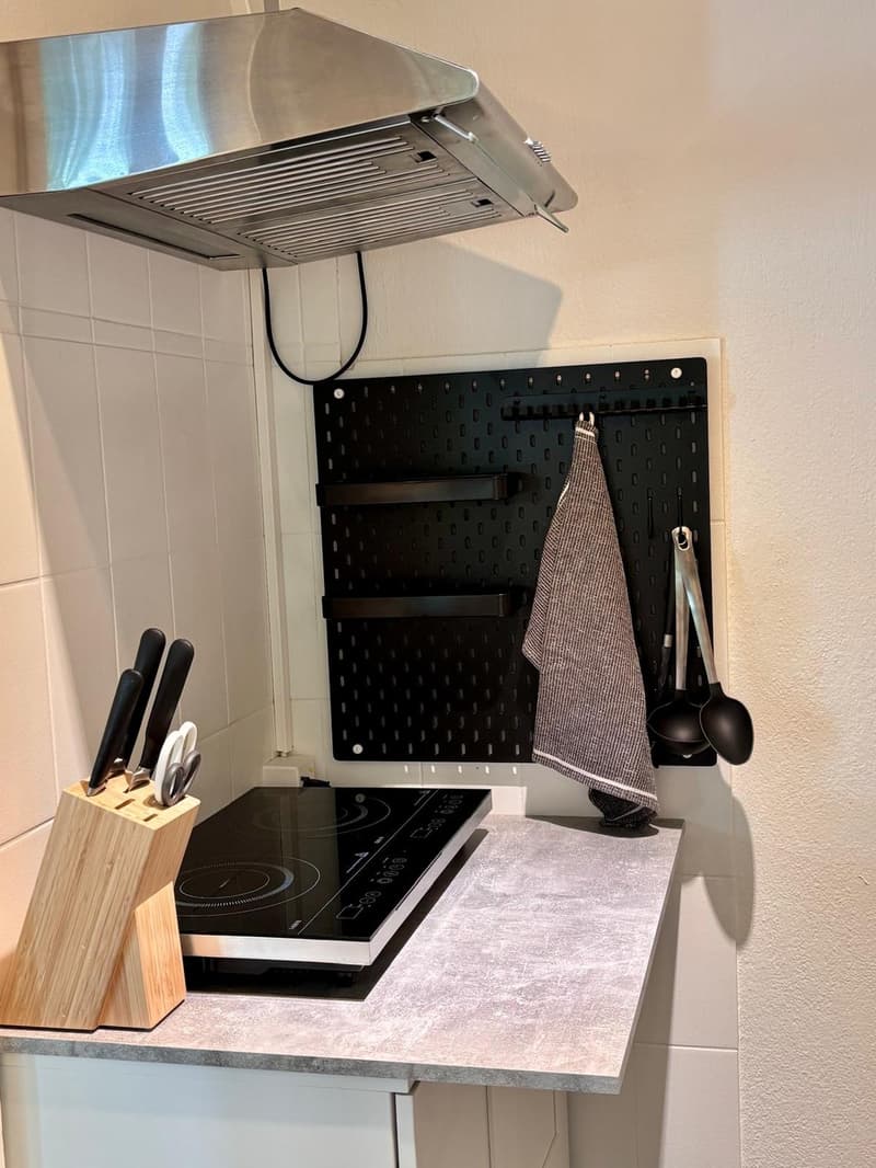 Möblierte 1-Zimmer-Wohnung am Zürichberg (7)