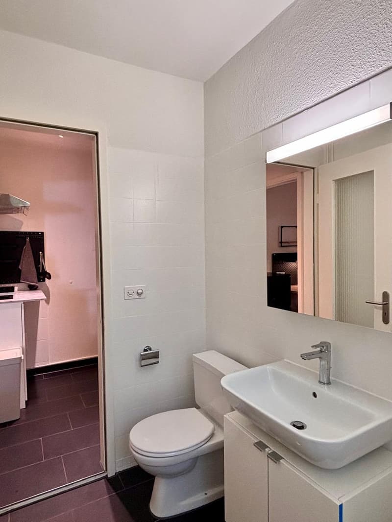 Möblierte 1-Zimmer-Wohnung am Zürichberg (10)