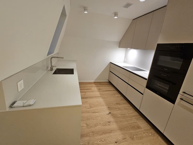 Erstbezug - Wohnen über den Dächern von Höngg zentral mit eigener Dachterrasse und Weitblick (5)