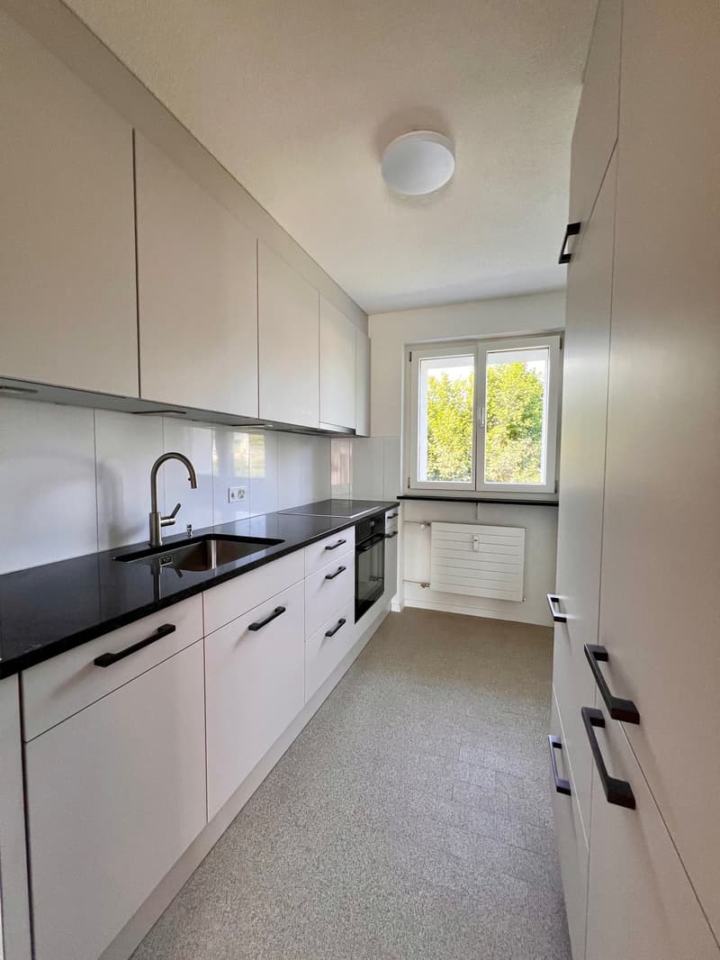 First-time rental - Beautiful apartments in Oberglatt! (1)