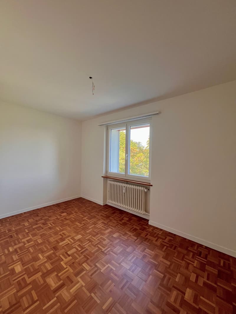 First-time rental - Beautiful apartments in Oberglatt! (4)