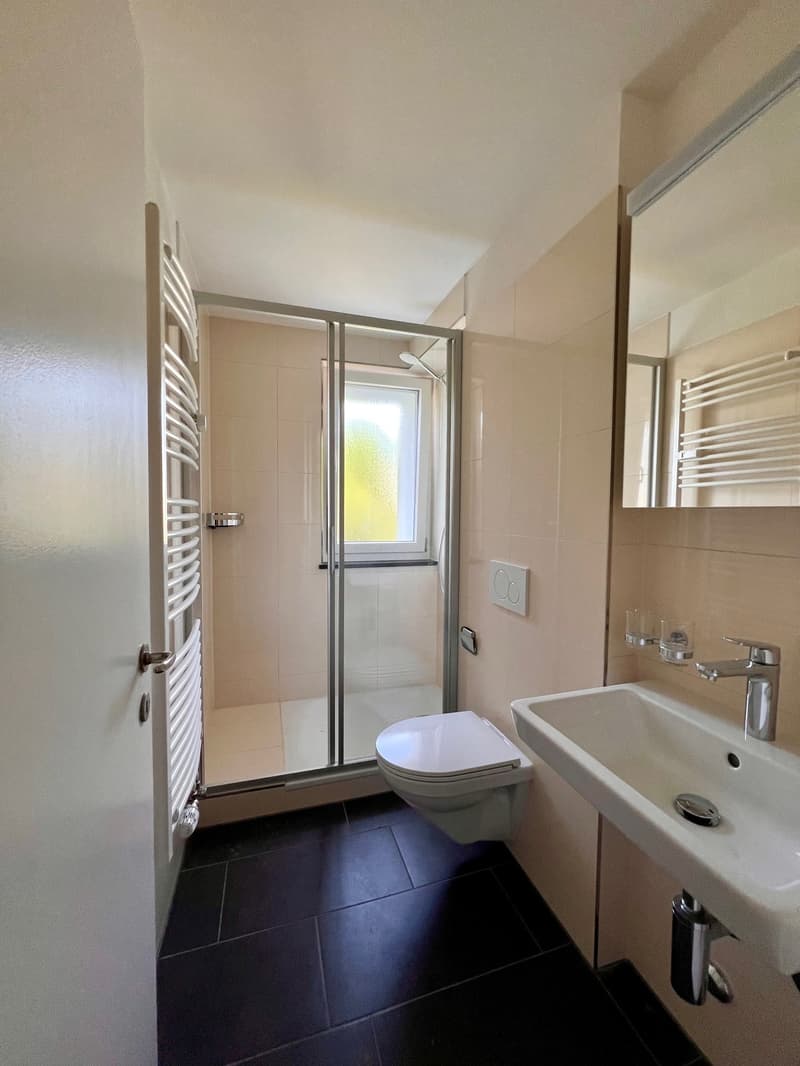 First-time rental - Beautiful apartments in Oberglatt! (7)