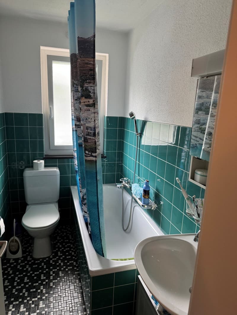 3.5-room apartment for rent in a quiet neighborhood! (9)