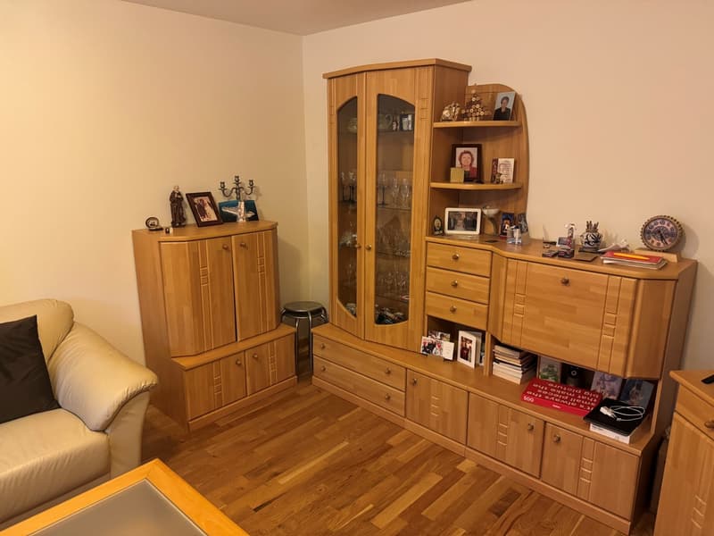 3.5-room apartment for rent in a quiet neighborhood! (3)