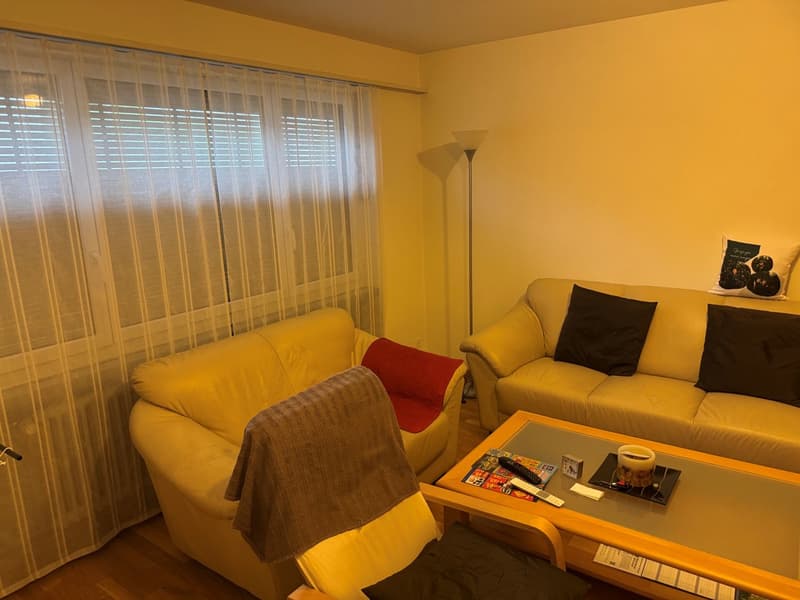 3.5-room apartment for rent in a quiet neighborhood! (2)