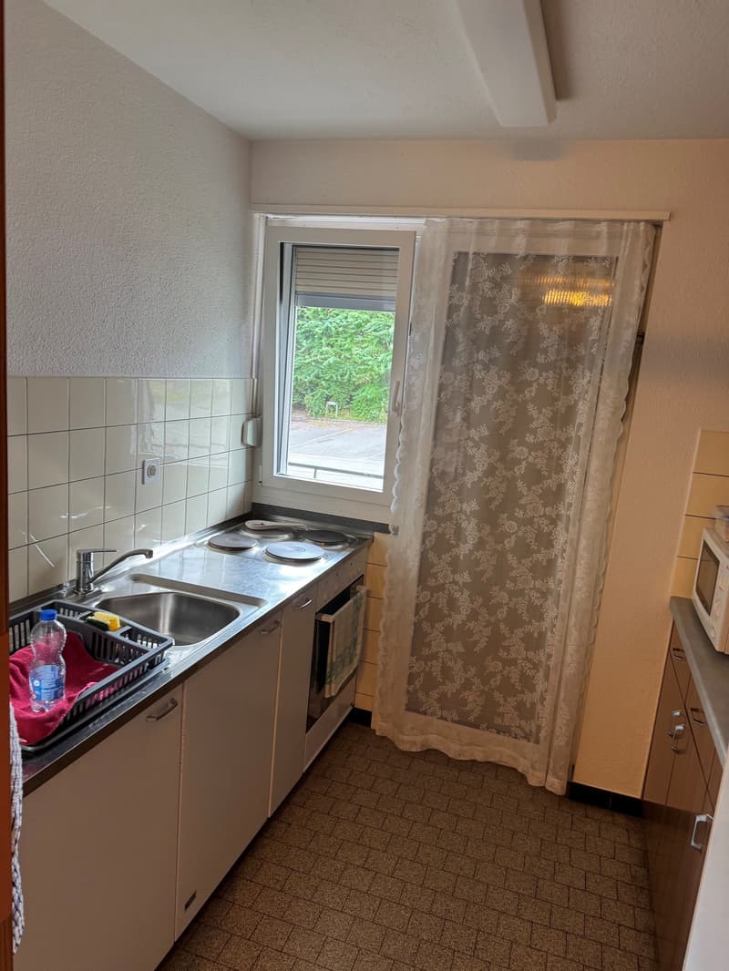 3.5-room apartment for rent in a quiet neighborhood! (4)