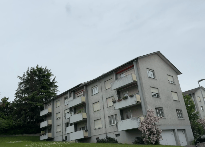 Frisch sanierte 3.0-Zimmerwohnung im ruhigen Quartier zu mieten! (7)