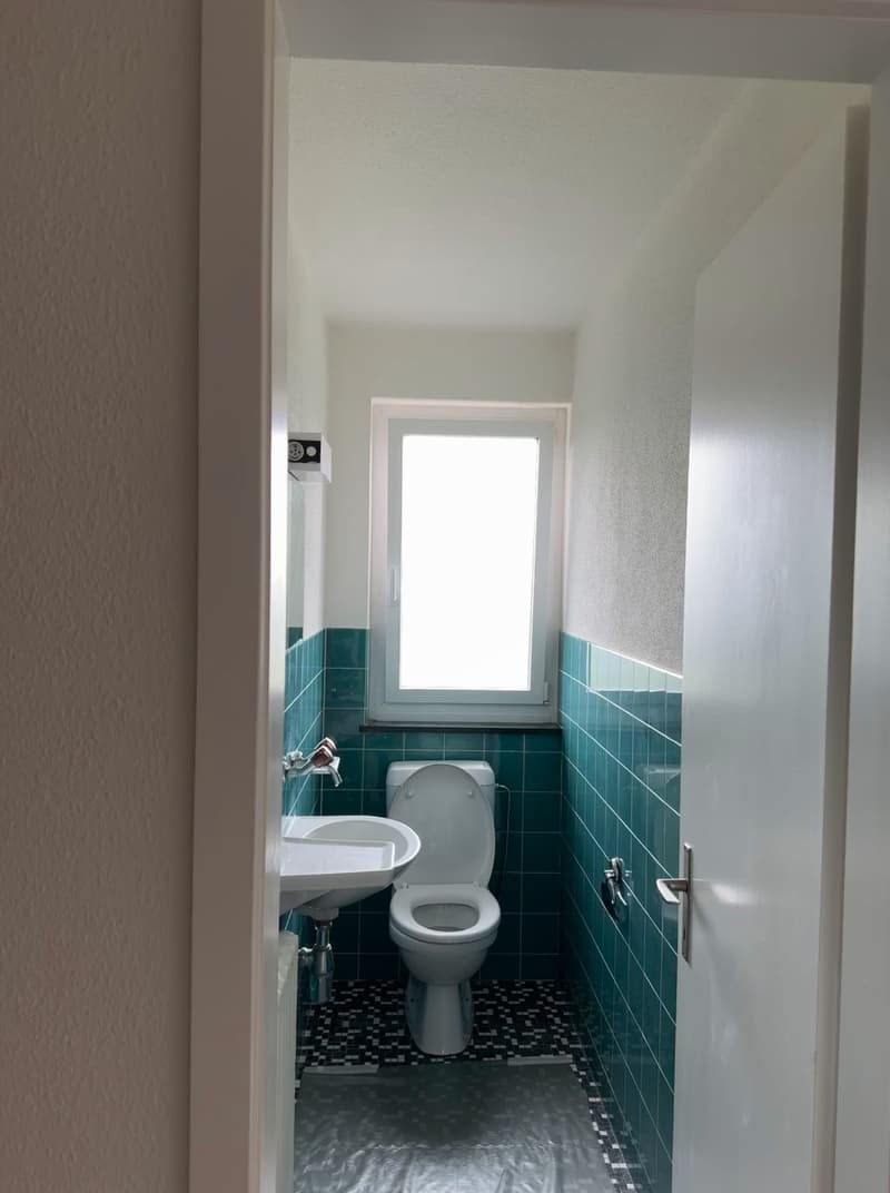 Frisch sanierte, helle und grosse Wohnung in ruhigem Quartier (9)
