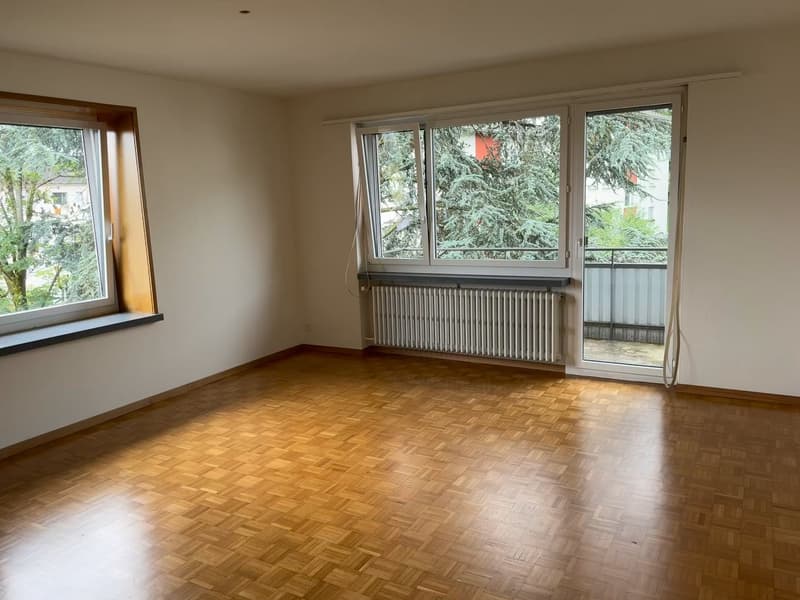 Frisch sanierte, helle und grosse Wohnung in ruhigem Quartier (10)