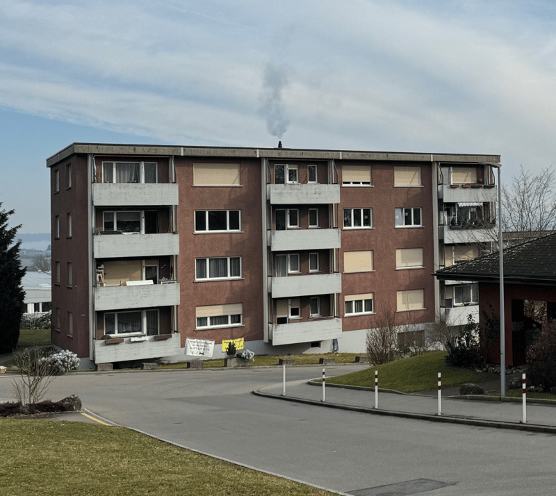 Frisch sanierte, helle und grosse Wohnung in ruhigem Quartier (13)
