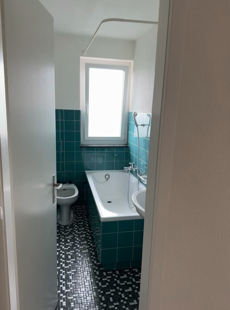 Frisch sanierte, helle und grosse Wohnung in ruhigem Quartier (8)