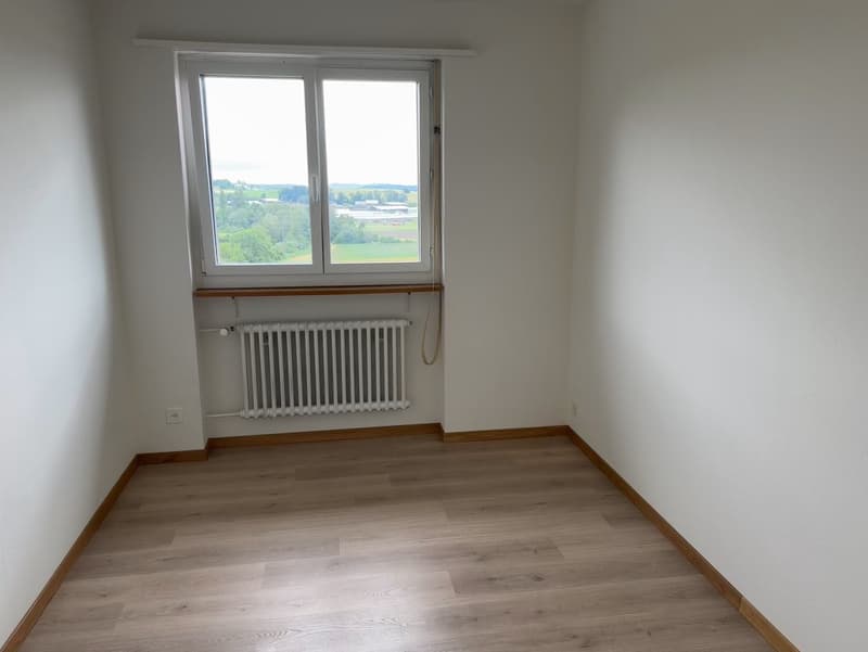 Frisch sanierte, helle und grosse Wohnung in ruhigem Quartier (12)