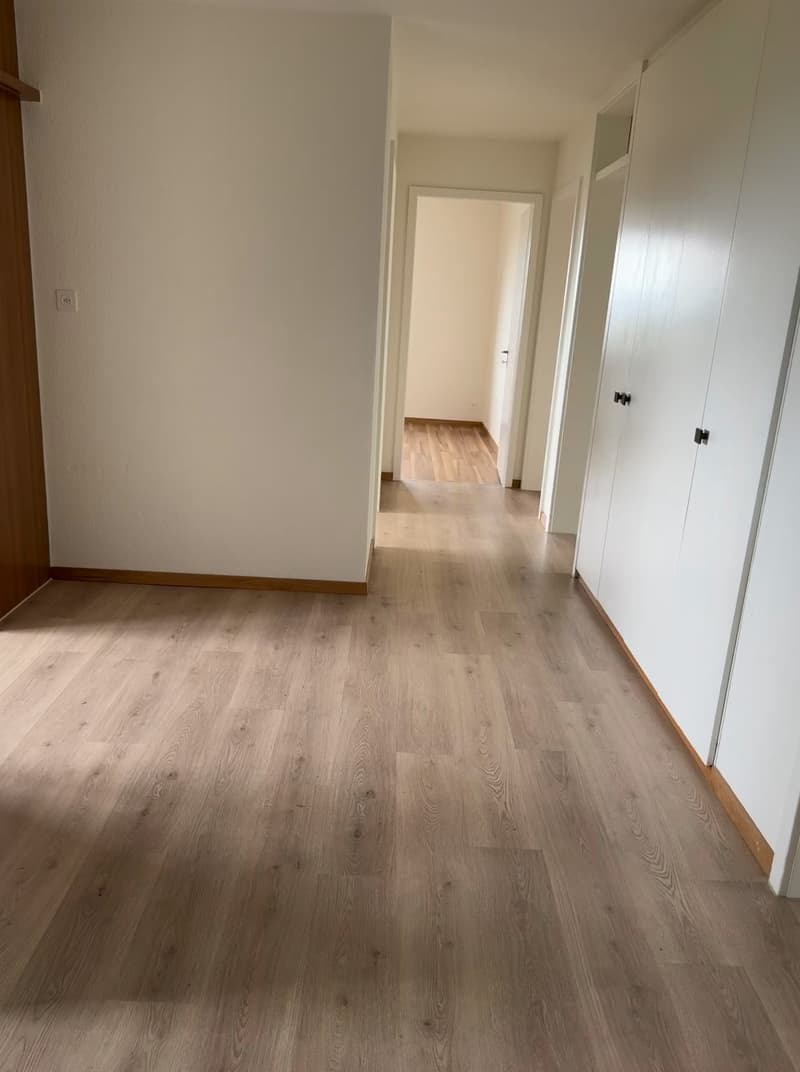 Frisch sanierte, helle und grosse Wohnung in ruhigem Quartier (5)
