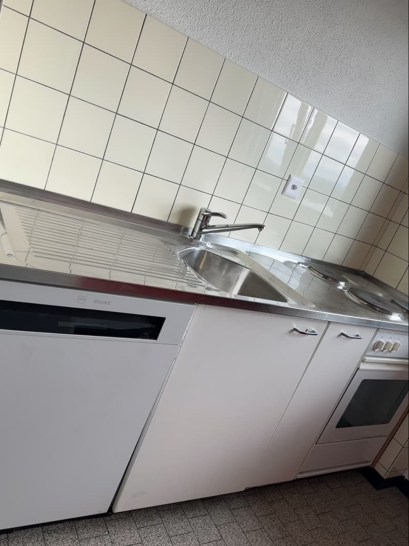Frisch sanierte, helle und grosse Wohnung in ruhigem Quartier (7)