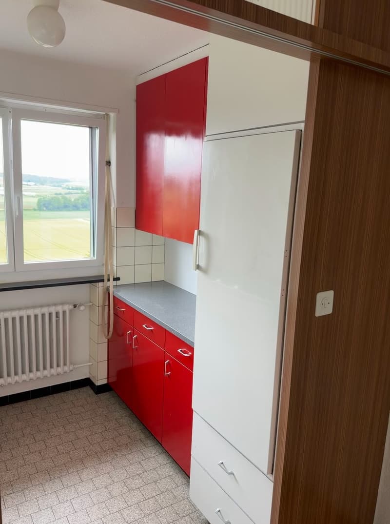 Frisch sanierte, helle und grosse Wohnung in ruhigem Quartier (6)